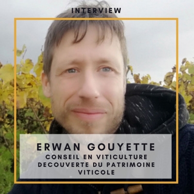Interview découverte métier